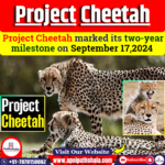 Project Cheetah