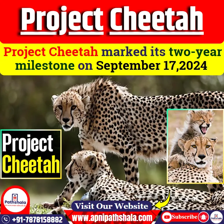 Project Cheetah