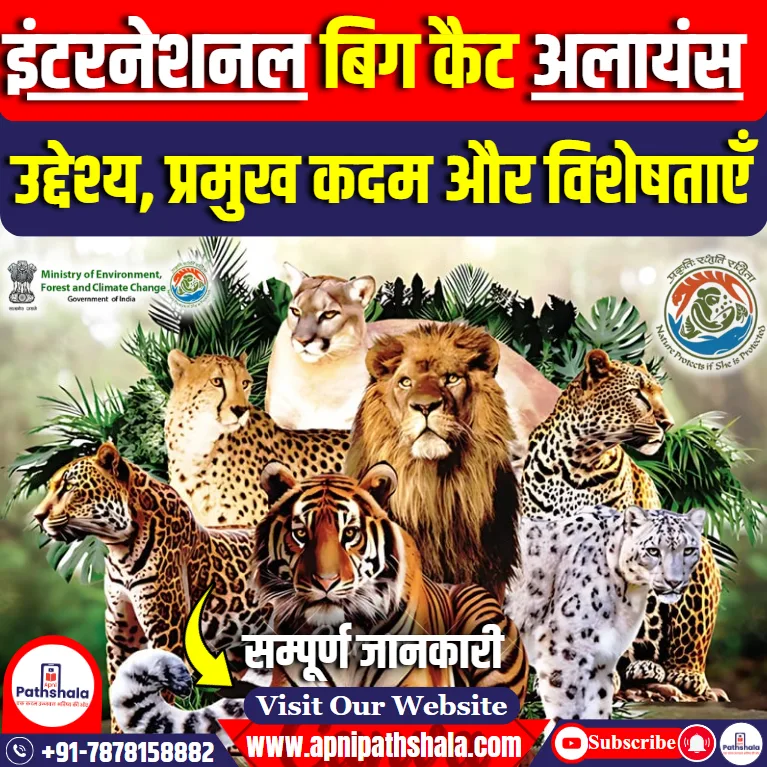 आईबीसीए