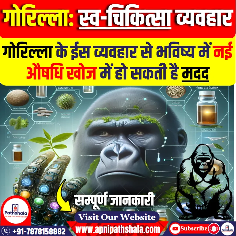 गोरिल्ला