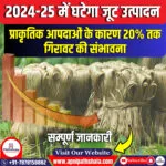 वित्त वर्ष 2024-25 में जूट उत्पादन में 20% की गिरावट की संभावना