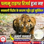 नक्सली विद्रोह ने पलामू टाइगर रिजर्व को नष्ट कर दिया