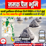 नमक पैन भूमि (Salt Pan Lands)