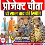 प्रोजेक्ट चीता: दो साल बाद की स्थिति