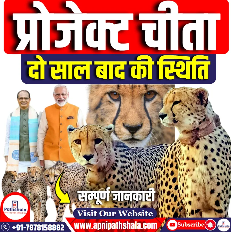 प्रोजेक्ट चीता