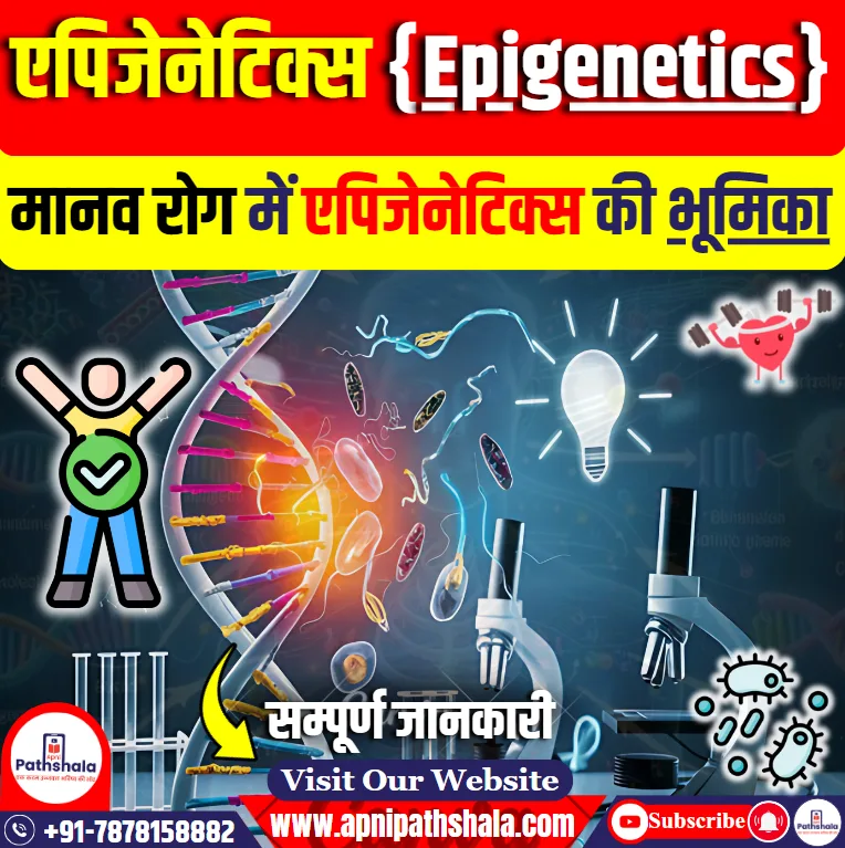 एपिजेनेटिक्स