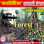 मायरिक्टिका दलदली जंगल (Myristica swamp forest)