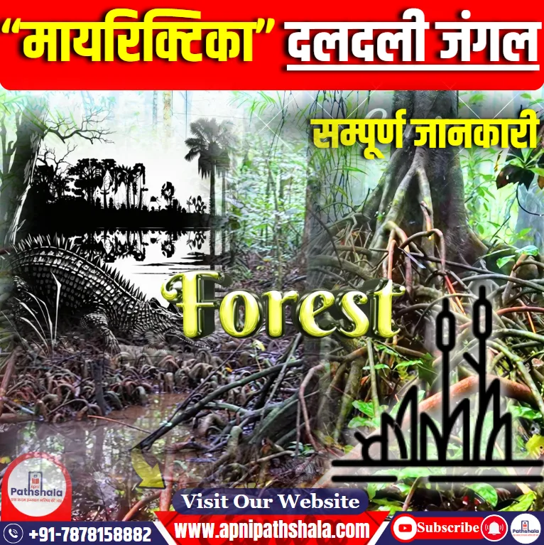 Myristica Swamp Forest