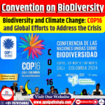 Biodiversity and Climate Change: COP16 and Global Efforts to Address the Crisis