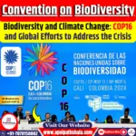 Biodiversity and Climate Change: COP16 and Global Efforts to Address the Crisis