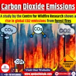 Carbon Dioxide Emissions from Forest Fires