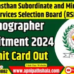 RSMSSB Stenographer एडमिट कार्ड 2024 डाउनलोड