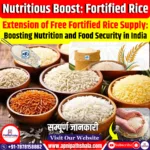 Extension of Free Fortified Rice Supply: Boosting Nutrition and Food Security in India