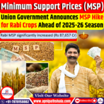 Union Government Announces Significant MSP Hike for Rabi Crops Ahead of 2025-26 Season