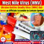 Ukraine Battles Deadly West Nile Virus Outbreak as Health Officials Scramble to Contain Spread