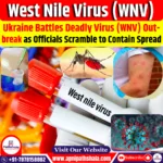 Ukraine Battles Deadly West Nile Virus Outbreak as Health Officials Scramble to Contain Spread