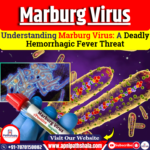 Understanding Marburg Virus: A Deadly Hemorrhagic Fever Threat