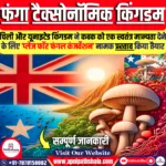 फंगा टैक्सोनॉमिक किंगडम