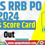 IBPS RRB PO Mains Score Card 2024