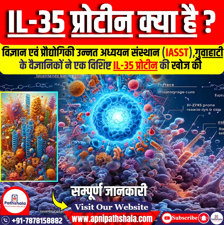 IL-35 प्रोटीन
