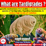 What are Tardigrades?