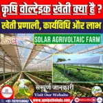 कृषि वोल्टेइक खेती