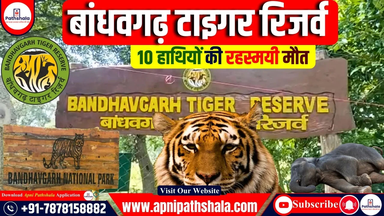 बांधवगढ़ टाइगर रिजर्व