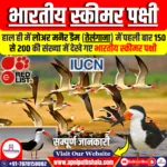भारतीय स्कीमर