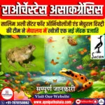 मेंढक की एक नई प्रजाति: राओर्चेस्टेस असाकग्रेंसिस
