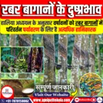 रबर बागानों का हानिकारक प्रभाव