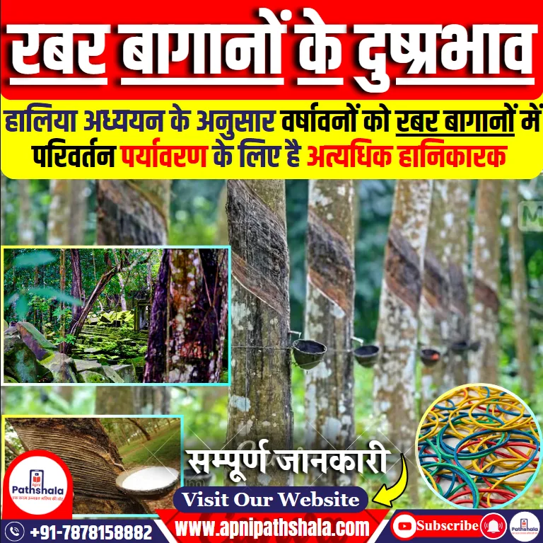 रबर बागानों