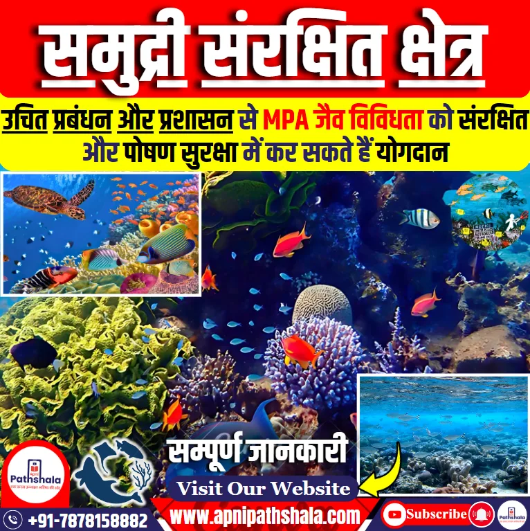 MPAs