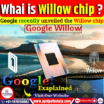What Are Willow Chip?