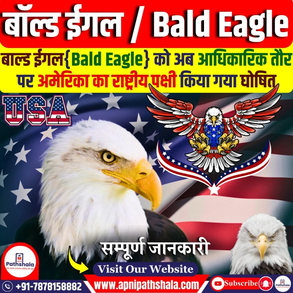 बॉल्ड ईगल