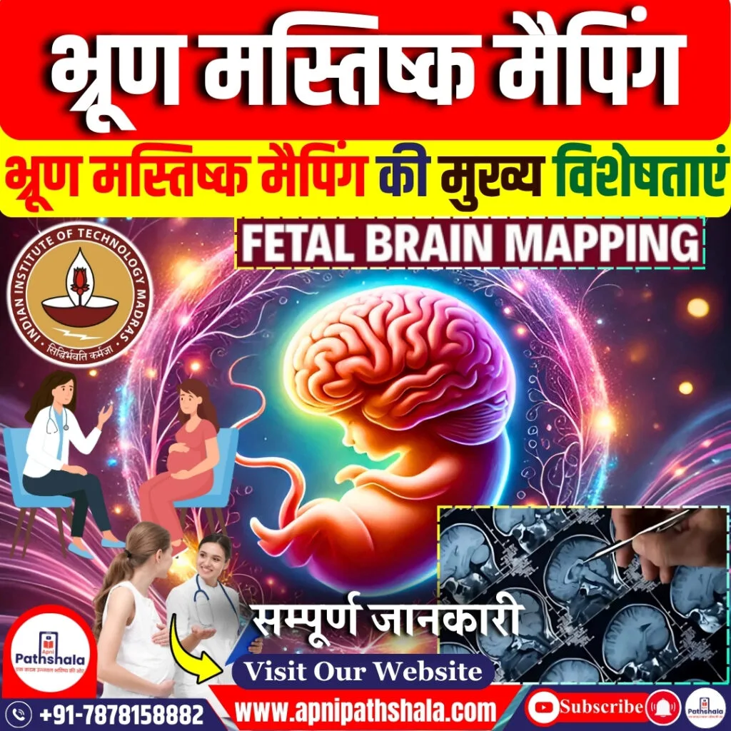 भ्रूण मस्तिष्क मैपिंग