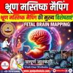 भ्रूण मस्तिष्क मैपिंग