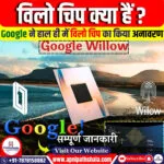 विलो चिप क्या हैं?