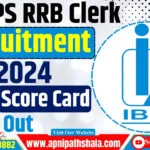 IBPS RRB Clerk Mains Scorecard 2024