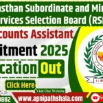 RSMSSB Junior Technical Assistant (JTA) & Account Recruitment 2025