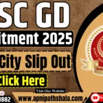 SSC GD Exam City 2025 Slip