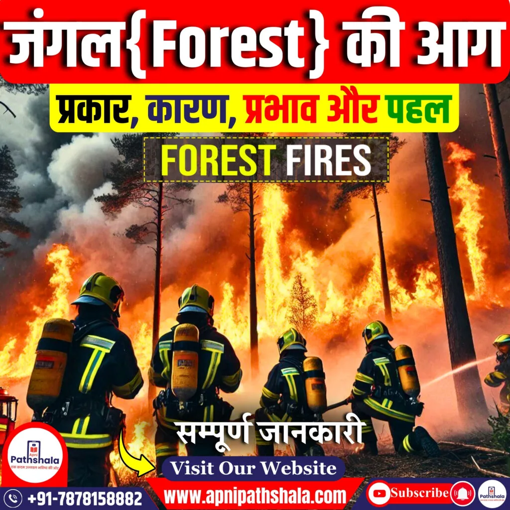 अमेरिका के कैलिफोर्निया में दावानल
