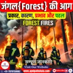 अमेरिका के कैलिफोर्निया में दावानल
