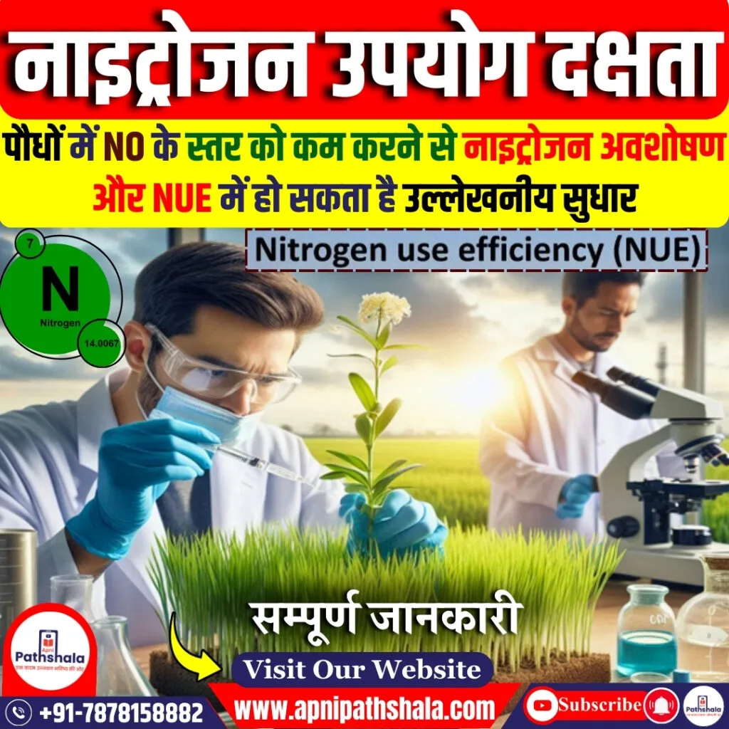 नाइट्रोजन उपयोग दक्षता