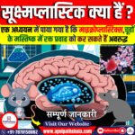 सूक्ष्मप्लास्टिक: चूहों के मस्तिष्क में रक्त प्रवाह में अवरोध