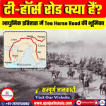 टी-हॉर्स रोड के बारे में