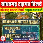 बांधवगढ़ टाइगर रिजर्व