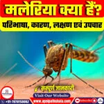 मलेरिया क्या हैं?