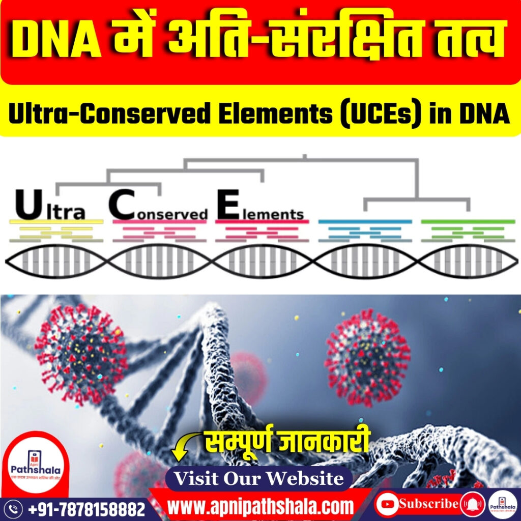DNA में अति-संरक्षित तत्व (UCEs)