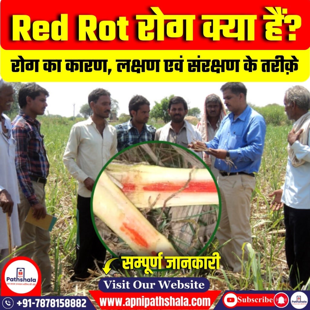 Red Rot रोग