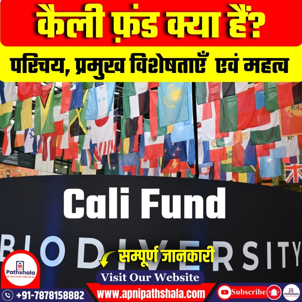 कैली फ़ंड क्या हैं?